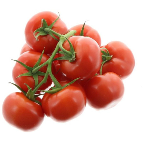 TOMATE GRAPPE KG